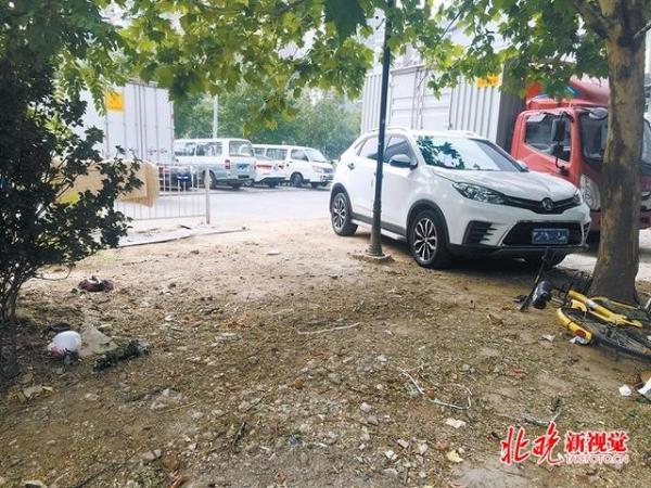 「中国网」用废旧轮胎腌菜坛子造出两座迷你花园，百子湾居民真有点子