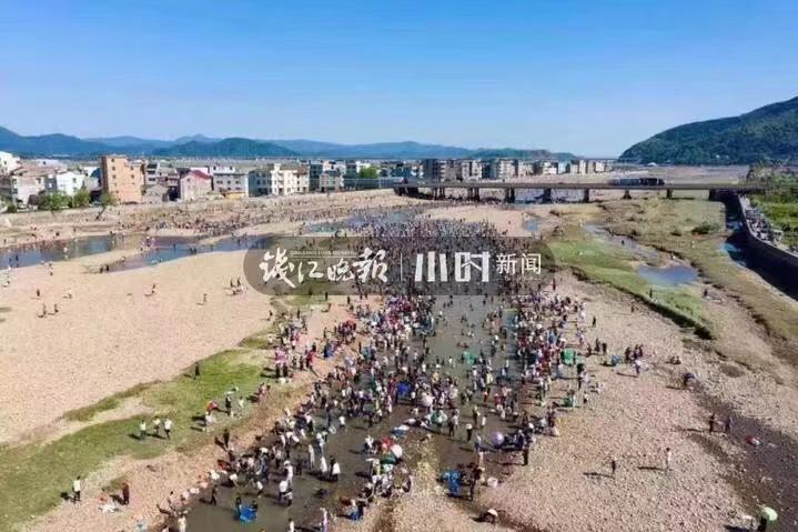 文汇报■奇观！温州网红村突然出现“漫天飞鱼”，站着就有鱼直接跳到手心