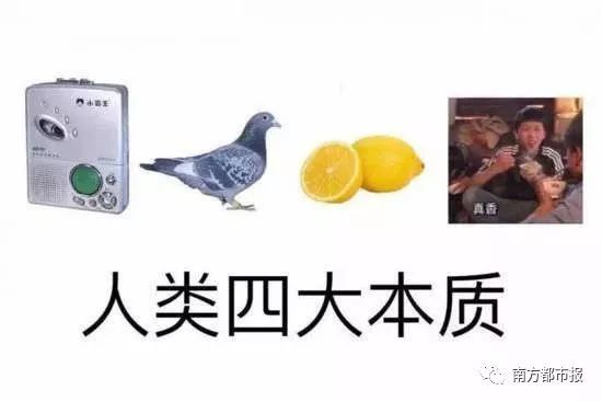 [南方都市报]妈骂我吃辣条不卫生，结果自己批发一箱！父母“真香”现场笑喷