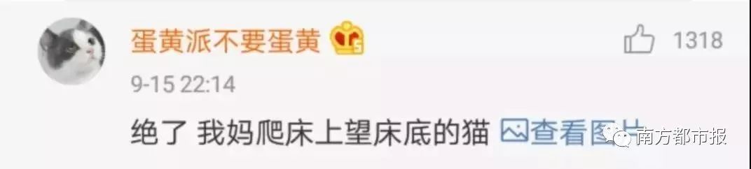 [南方都市报]妈骂我吃辣条不卫生，结果自己批发一箱！父母“真香”现场笑喷