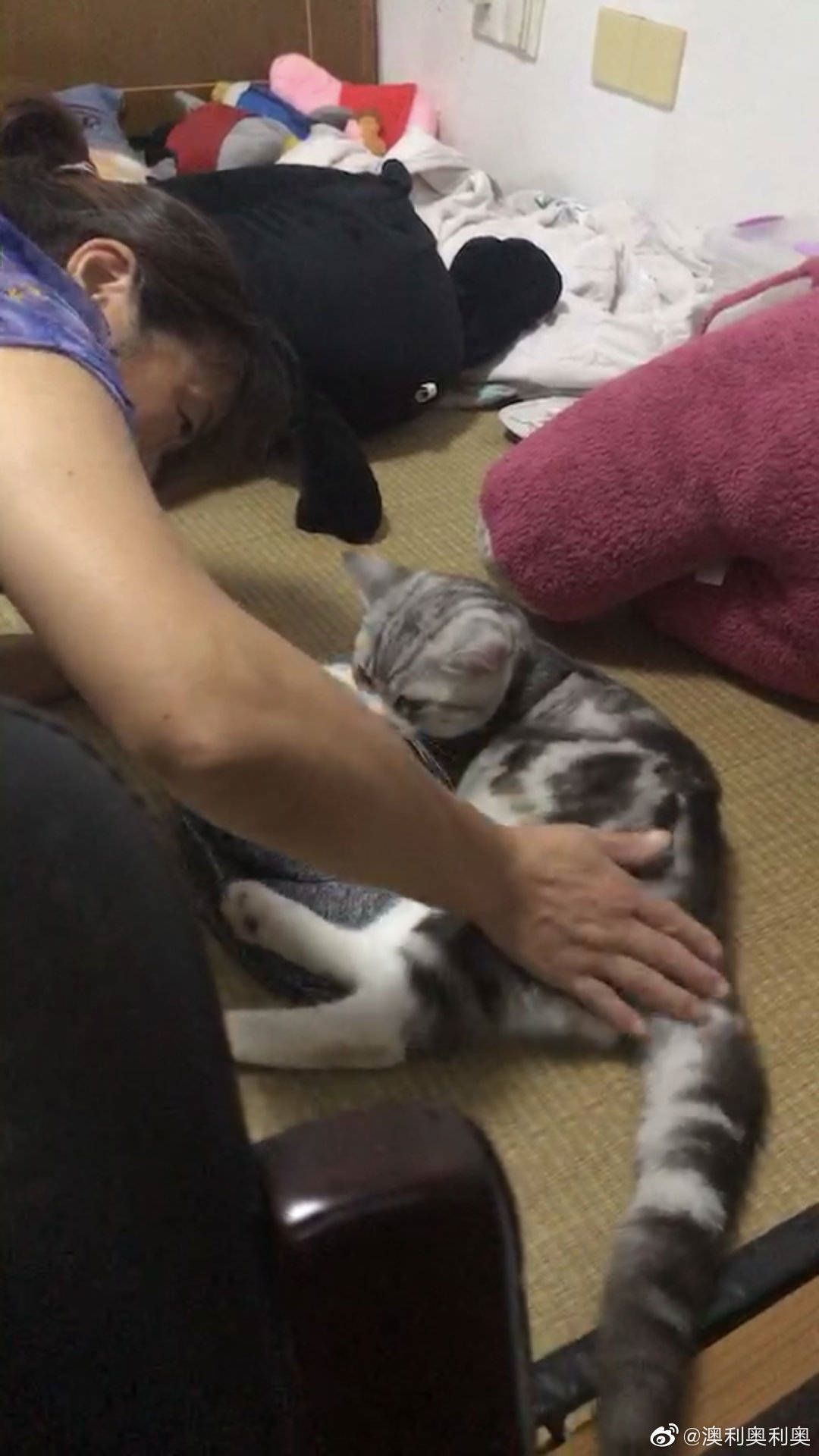 [南方都市报]妈骂我吃辣条不卫生，结果自己批发一箱！父母“真香”现场笑喷