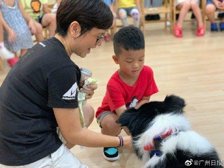 [光明网]幼儿园来了“狗狗教授”一句话没说却疯狂圈粉