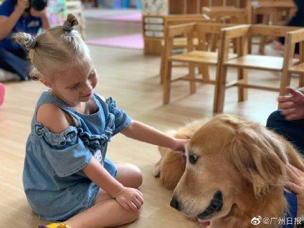 [光明网]幼儿园来了“狗狗教授”一句话没说却疯狂圈粉