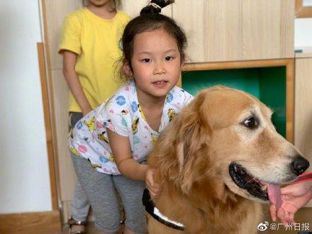[光明网]幼儿园来了“狗狗教授”一句话没说却疯狂圈粉