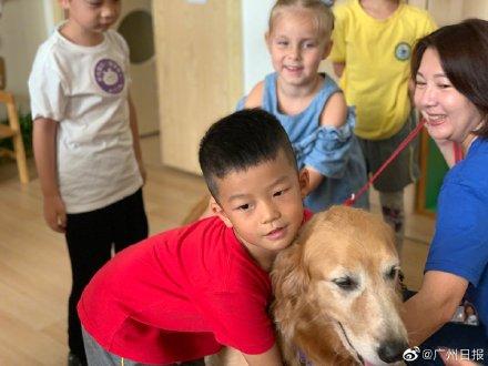 [光明网]幼儿园来了“狗狗教授”一句话没说却疯狂圈粉