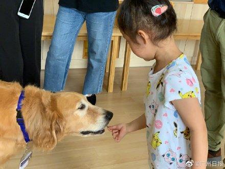 [光明网]幼儿园来了“狗狗教授”一句话没说却疯狂圈粉