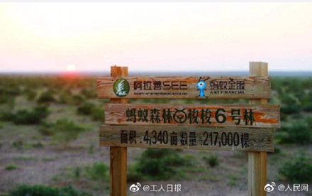 [光明网]5亿人手机种真树！蚂蚁森林获地球卫士奖你参与了吗？