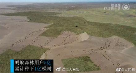 [光明网]5亿人手机种真树！蚂蚁森林获地球卫士奖你参与了吗？