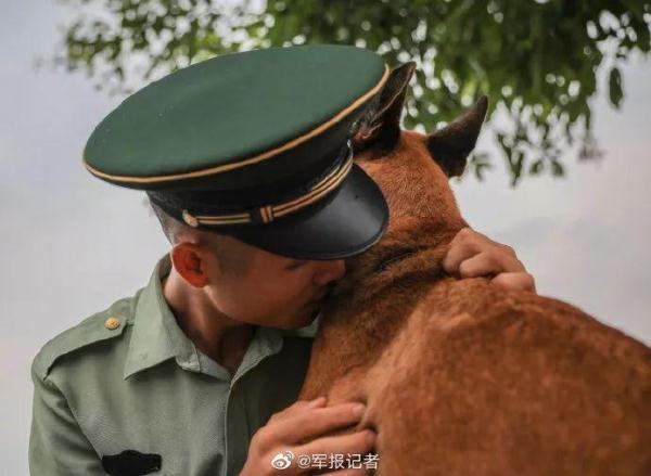 「光明网」老兵退伍，警犬用这种方式向他告别