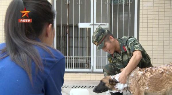 「光明网」老兵退伍，警犬用这种方式向他告别