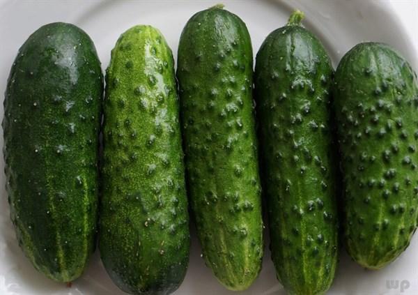 「光明网」9月来了，多吃3种养生食物，增强机体免疫力，促进血液循环