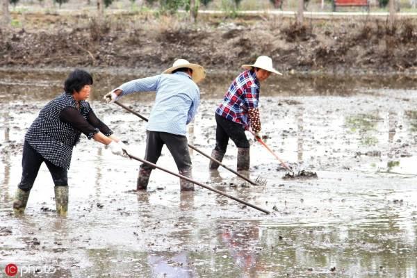 [观察者网]为什么大家都不想生二胎了？