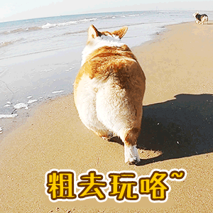 「气象北京」再来一波晴朗秋日