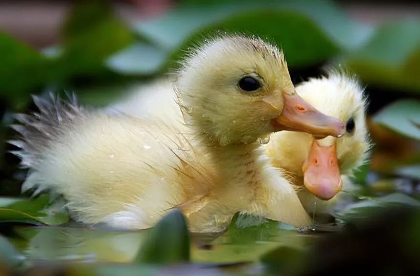 「气象北京」再来一波晴朗秋日