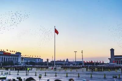 【学习时报】飞过全世界的百灵鸟