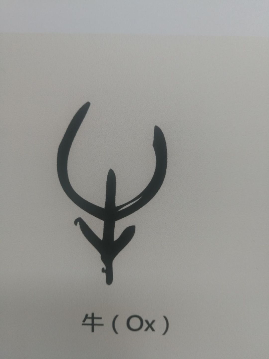 「经济日报」最近，法国掀起了汉语热潮→