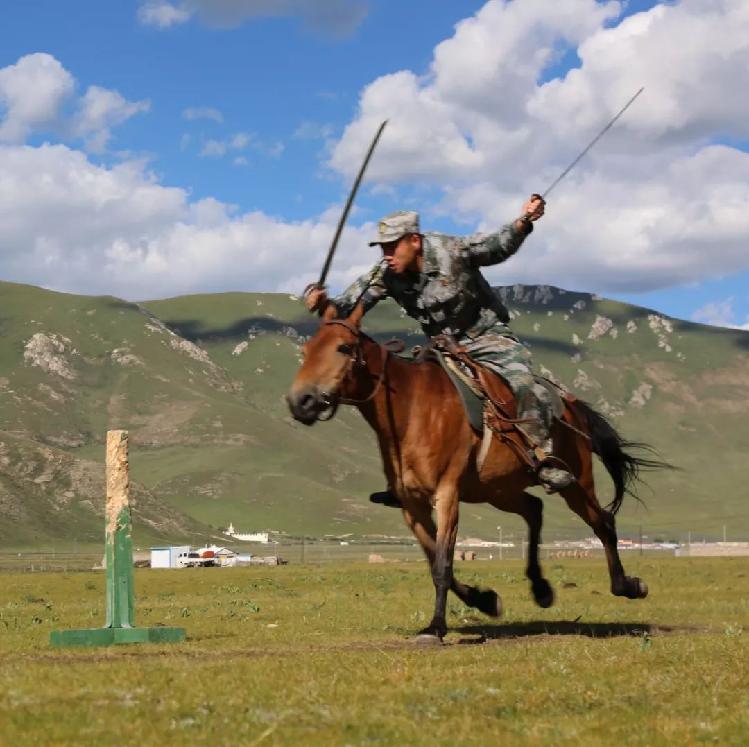 夜读| 军马"大黄"
