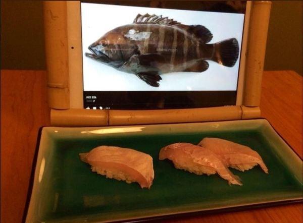 「光明网」吃刺身前要看活鱼的样子？日本刺身店用iPad向客人展示