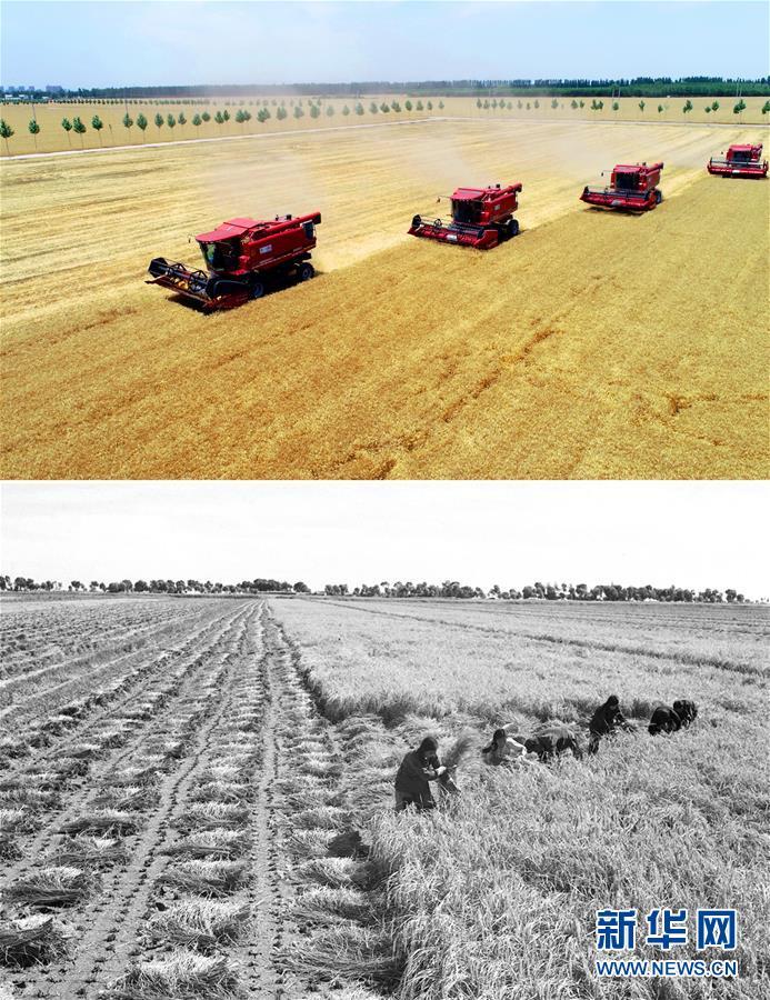 「新华网」在希望的田野上