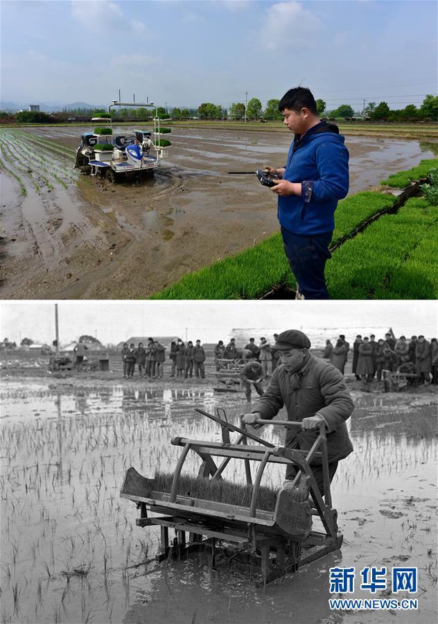 「新华网」在希望的田野上
