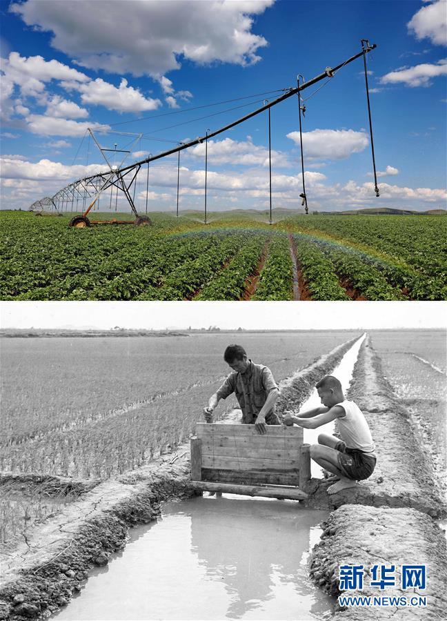 「新华网」在希望的田野上