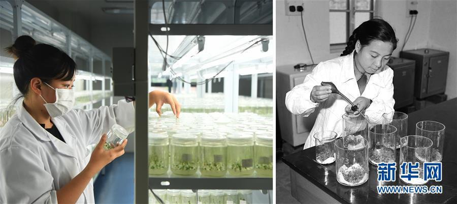 「新华网」在希望的田野上