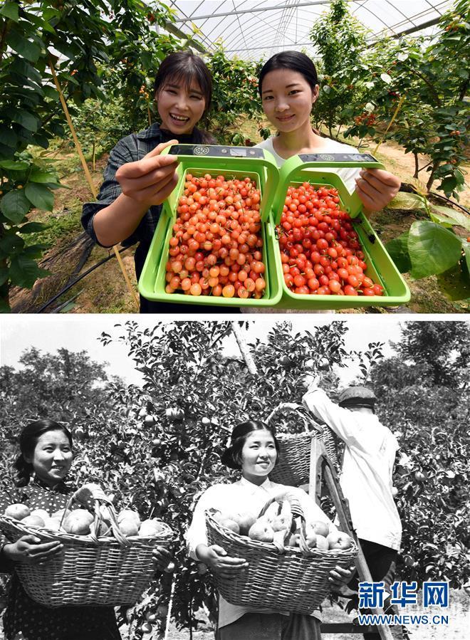 「新华网」在希望的田野上