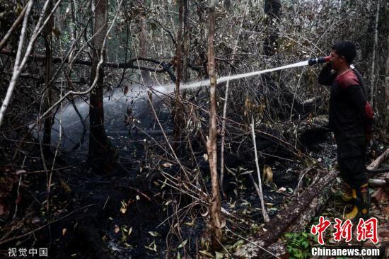 #中国新闻网#印尼森林山火后一片废墟 烟霾笼罩