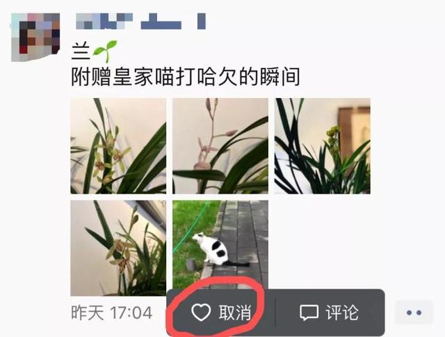 中国日报网■当代青年网恋观察：奔现就像买彩票？
