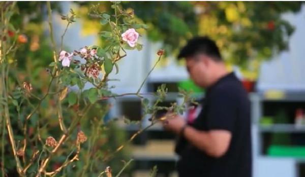 「中国网」车主们注意了！办理ETC小心被骗子“搭便车”陌生短信别乱点