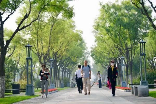 光明网■南中轴御道全线贯通 石砌路连接永定门和正阳门