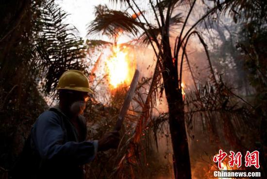 【中国新闻网】玻利维亚山火肆虐 消防员奋力灭火