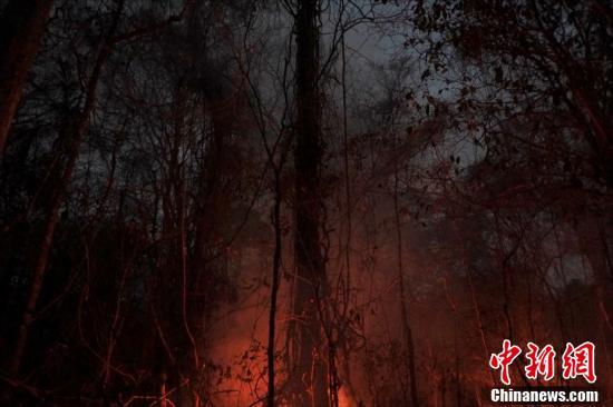 【中国新闻网】玻利维亚山火肆虐 消防员奋力灭火