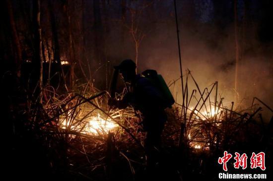 【中国新闻网】玻利维亚山火肆虐 消防员奋力灭火