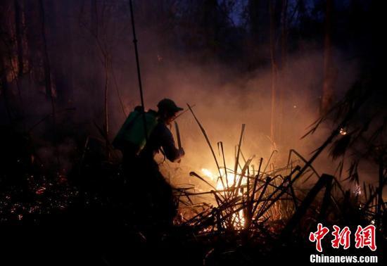 【中国新闻网】玻利维亚山火肆虐 消防员奋力灭火