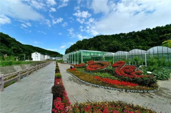 「光明网」雨过天晴，让我们一起去踏秋