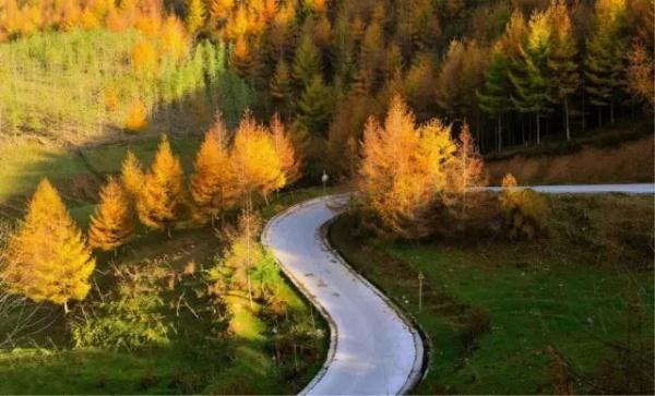 「光明网」雨过天晴，让我们一起去踏秋