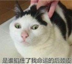 [光明网]开车碰到这个标志怎么办？做错了小心翻车