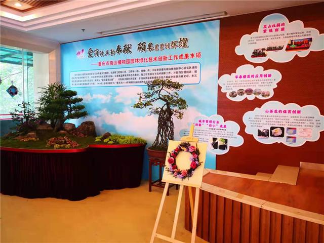 上游新闻■国家级美发大师免费理发，巴渝工匠亲手教蜀绣，快来市文化宫学艺吧