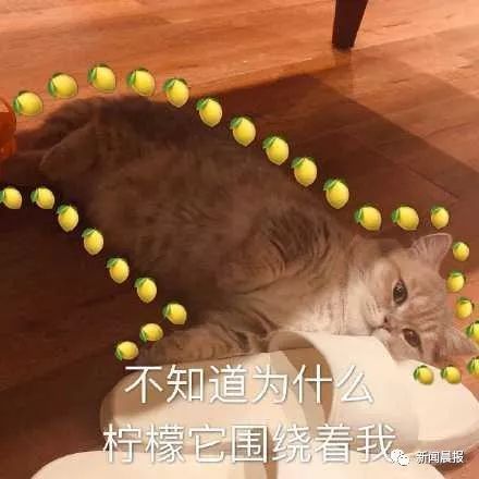 杭州日报：这位90后美女今天火了!得知她的身份,很多人都叹了口气...
