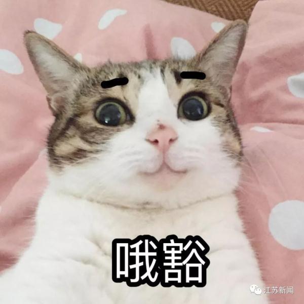 「光明网」男子买房没几天，一个奇葩操作，吓跑周围17户邻居