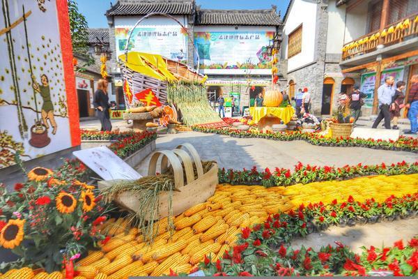 【大河网】丰收河南万象新 大河网全景直击丰收节现场