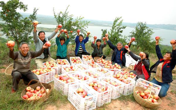 【大河网】丰收河南万象新 大河网全景直击丰收节现场