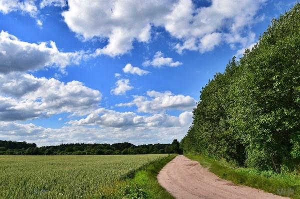 「光明网」文艺唯美意境的句子，温暖美好，总有一句慰藉你的心灵