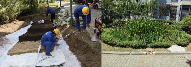 【澎湃新闻】全国最大海绵城市试点地区临港交答卷，建海绵型道路36公里