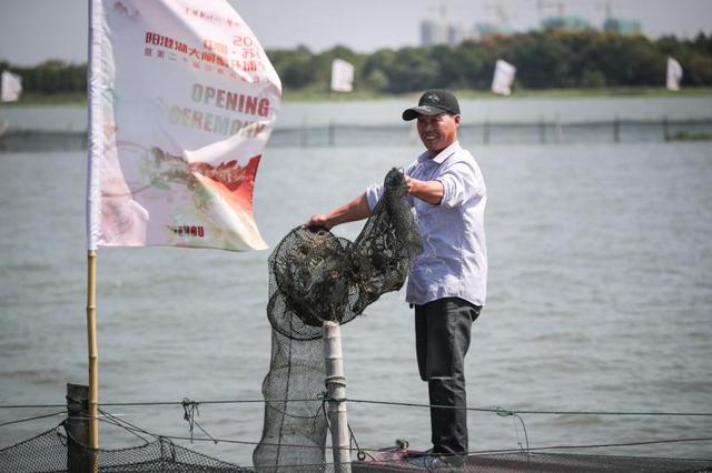 「上观新闻」阳澄湖大闸蟹正式开捕，113平方公里水域预计总产量1400吨