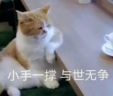 「光明网」激动！今年还有31天假可休！还有这件事你要知道