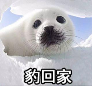 「光明网」激动！今年还有31天假可休！还有这件事你要知道