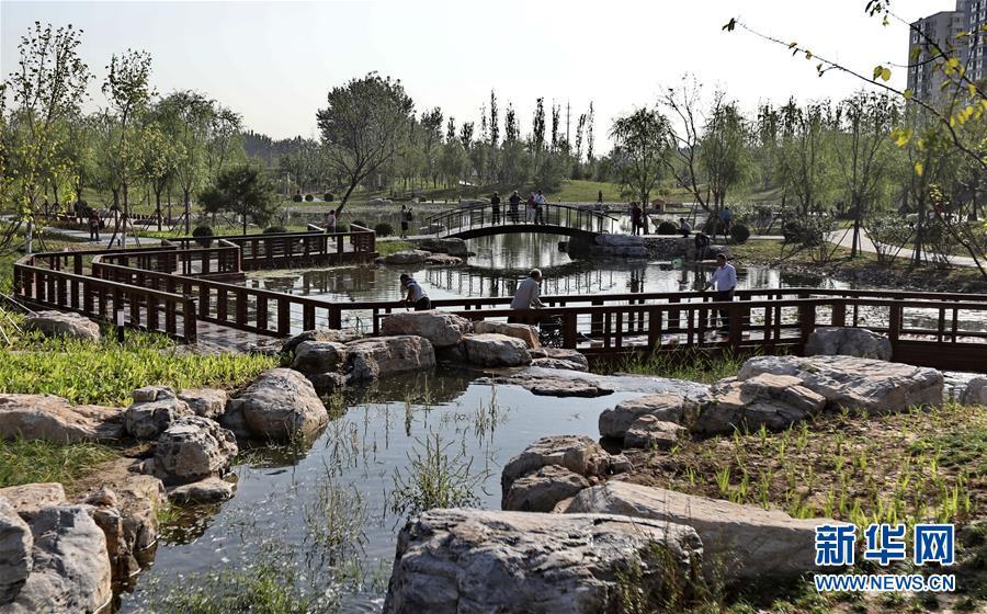 「新华网」百姓公园 造福市民
