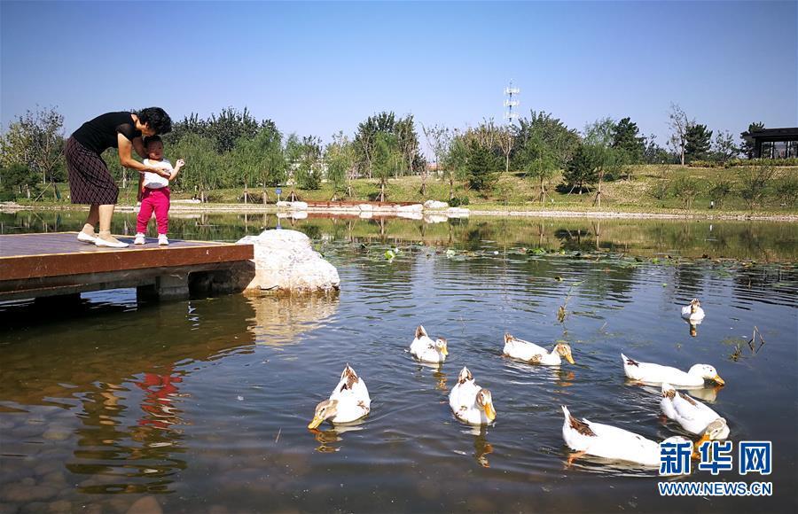 「新华网」百姓公园 造福市民